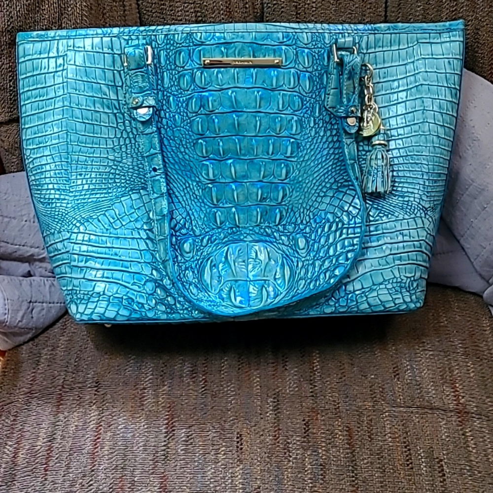 Brahmin Purse